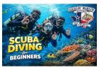 Learn to Dive with Expert Scuba Diving for Beginners