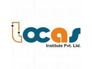 Best Web development institute in Ludhiana - Locas Institute