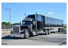 Reliable Freightliner Trucks for Sale Built for Performance