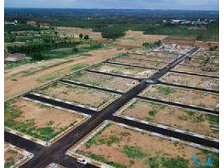 Why buy a Authority Plots in Noida Sector 145?