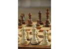 Chess Classes for Kids: Learn Strategy & Critical Skills