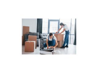 Looking for Professional Packers and Movers in Dubai?