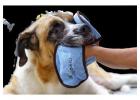 Buy a Drool Catcher for your Dogs from Huge Hounds 