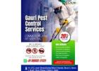 Searching for Pest Control Service Near Me? Gauri Pest Control Services is Here to Help