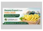 Banana Export from India 2026 | Top Exporters, Price, Varieties & Global Market Guide 