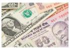 1 USD to INR – Real Data You Can Trust