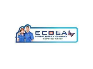 Ecola Termite - Los Angeles