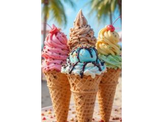 Delicious Ice Cream and Dessert Shop Experience