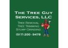 The Tree Guy Services LLC