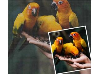 Personalized Paint by Number Kits | Craft Beautiful Art at Home