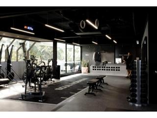 Expert Physiotherapy in Mosman – Book Your Session | Strength Clinic