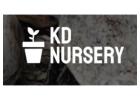 Plant Nursery in Clarence Center, NY – KD Nursery