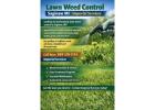 Lawn Weed Control Saginaw MI | Imperial Services