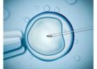 Best IVF Center in Kolkata for Advanced Fertility Care
