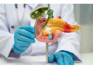 Best Surgeon for Gall Stone in Kolkata