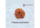 3 mukhi rudraksha
