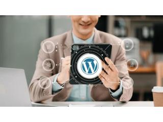 Best Web Design Company in Gujarat for Business