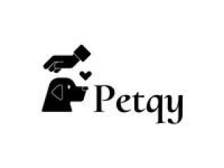 Who Makes Daily Walks Affordable?