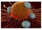 Immunotherapy Cancer Treatment in Delhi NCR