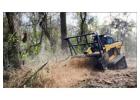 Professional Forestry Mowing Services in Hilo by Arborist Services 