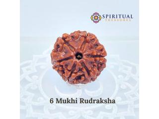 6 mukhi rudraksha