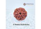 6 mukhi rudraksha