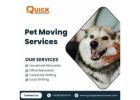 Safe Pet Moving Services by Quick Packers Movers
