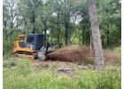 Eco-Friendly Organic Land Clearing on the Big Island by Arborist Services 