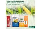 Agritura Pianificazione Agricola 2026 – Sementi di Mais e Fertilizzanti per Colture Forti