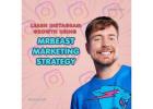 Learn Instagram Growth Using MrBeast Marketing Strategy
