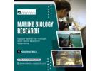 Marine Biology Research