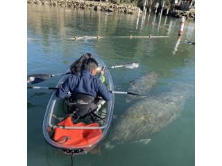 Top Three Sisters Springs Manatee Tours Guide