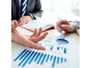 Expert Financial Advisory Services for Strategic Planning and Success