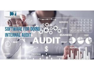 Efficient Software for Doing Internal Audit