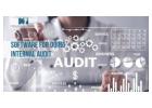 Efficient Software for Doing Internal Audit