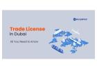 Trade License Dubai: Complete Business Setup Guide