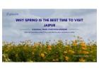 Discover best time to visit Jaipur in Spring