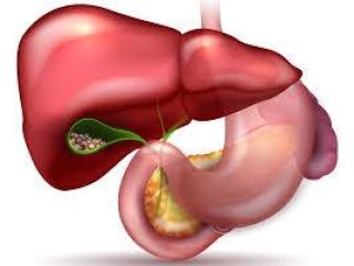 Advanced Gall Stone Specialist Specialist in Kolkata