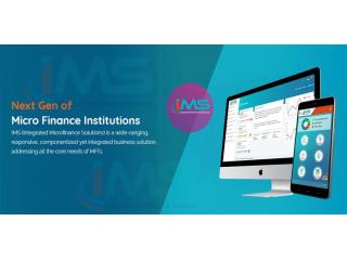 Microfinance Software Solution for Efficient Loan Management