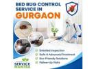 Bed Bug Control Service in Gurgaon | Safe and Effective Pest Control Solutions