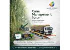Cane Management System in India