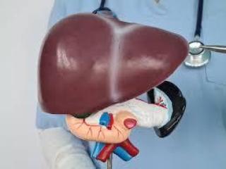 Trusted Chronic Liver Specialist in Ludhiana – Dr Nitin Bhel