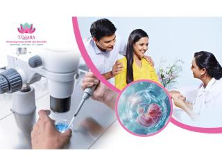 Start Your IVF Journey with the Best IVF Hospital in Bangalore - Tamara Hospital & IVF Centre