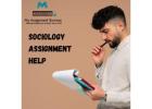 Sociology Assignment Help – Expert Support for Top Grades
