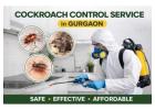 Expert Cockroach Control Service in Gurgaon | Safe Pest Removal by Service Mantra
