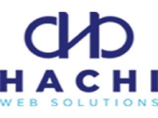 Website Design Agency in Singapore- Hachi Web Solutions