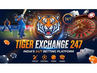 Tiger Exchange with Amiritiger – Your Gateway to a Seamless Online Experience