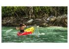 Guided Manatee Kayak Tours | Explore Nature with Experts