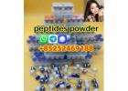 Hot Sale Freeze-Dried Peptide Peptides  Powder