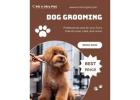Pet Grooming Service at Home